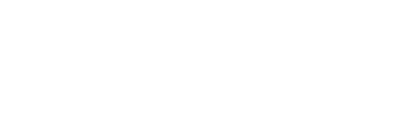bm-touch logo diap